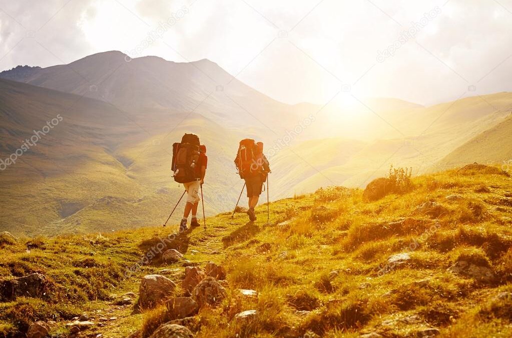 Our Bodies, Training and Diet