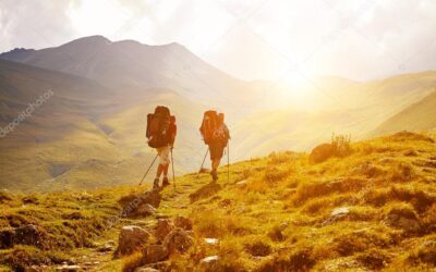 Our Bodies, Training and Diet